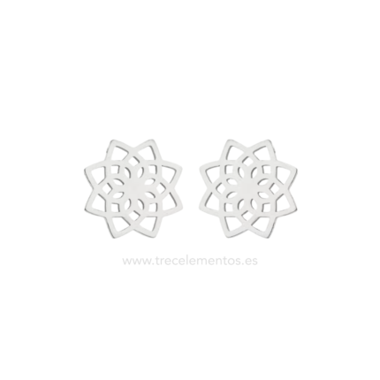 Pendientes Flor Estelar Acero inoxidable plateados